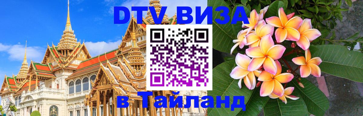 Сколько стоит DTV виза — актуальные цены, оформление даже без документов - 
